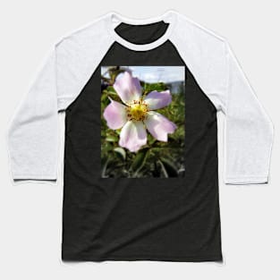 old-fashioned roses by Fox Creek & Columbia River 3 Baseball T-Shirt